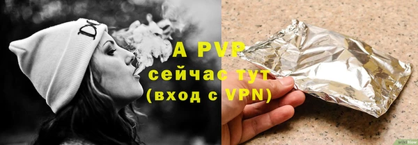 стафф Надым