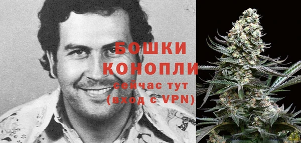 стафф Надым