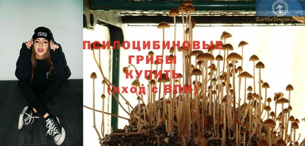 стафф Надым